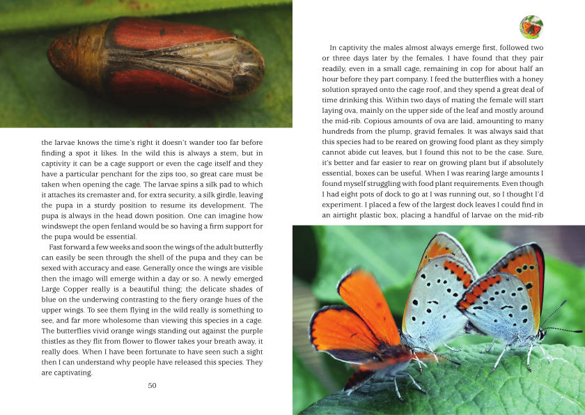 Kaleidoscope 1.0 Sample Pages 50 and 51